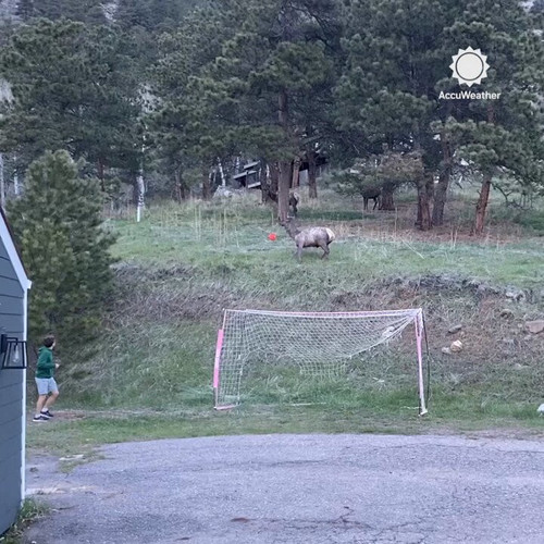 s ustQL6zTAZ Eo0.jpg