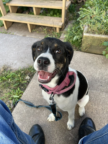 GZUgNe XUAAhit1?format=jpg.jpg