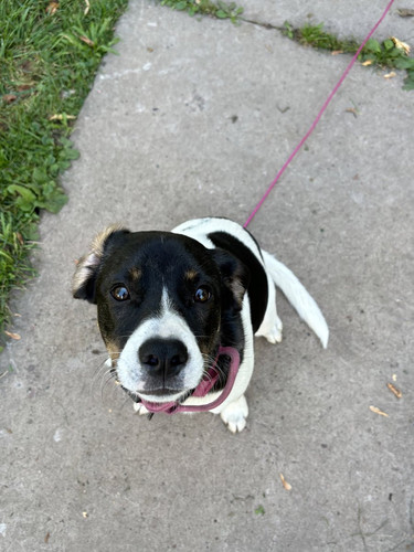 GYe cQwWEAAvJiQ?format=jpg.jpg