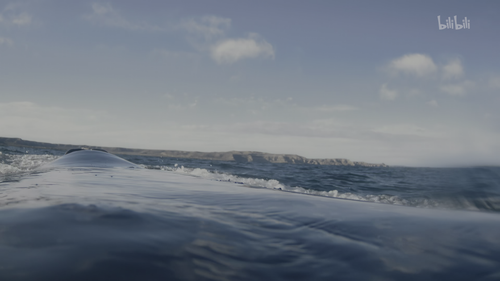 20251025 190728 781264.png