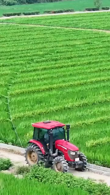 RaF6 TMjv4hGLwgG.jpg