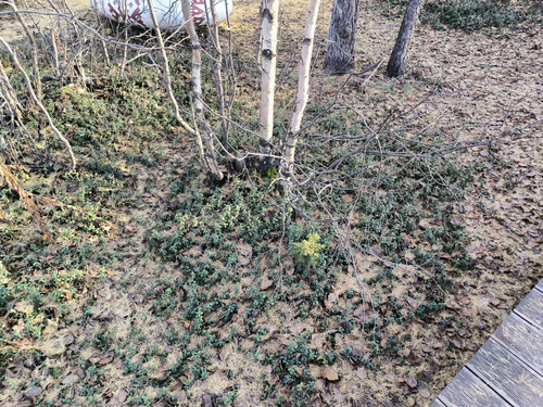 2025 10 19 13 12 23.jpg