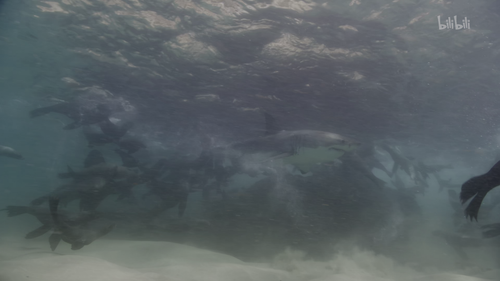 20251025 191052 768349.png