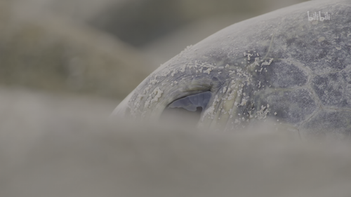 20251025 190730 230798.png