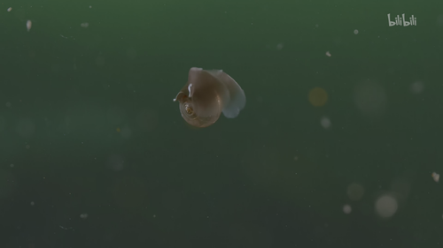 20251025 190726 536428.png