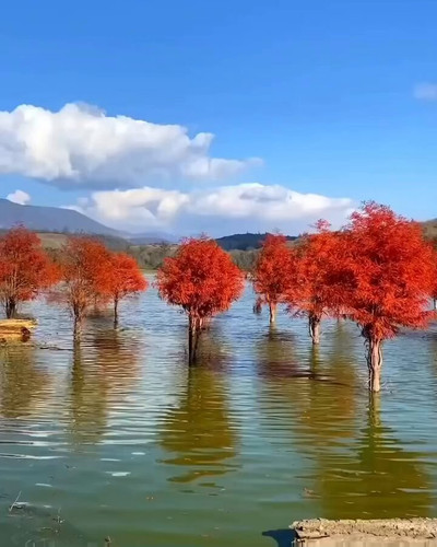 3W9mWo O8HbQ xmI.jpg