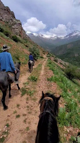 2h9 UGcv Cq3 a6p.jpg