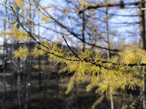 2025 10 19 13 11 52.jpg