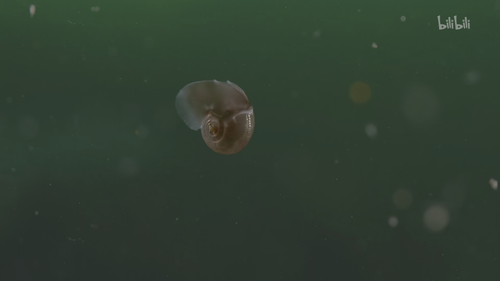 20251025 191058 246937.png