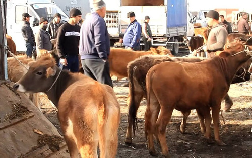 Vh4Xm9bpobgpNSK0grzsBWK0E5r9H2adjKygO1 o 6 kSC MlmjCn1ZP Wx6U aKN3j6oJ 243yE2EBorVns4gp0Su3qdA7M9epO.jpg