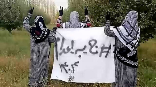 R vV7O8PrOUWUOSb.jpg