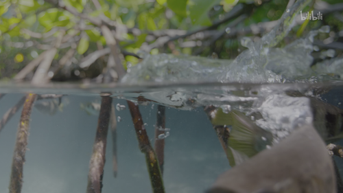 20251025 191054 671982.png