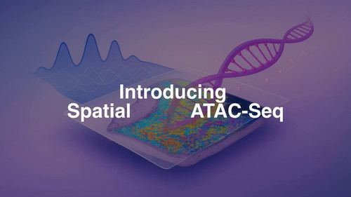 f1cueIKhs 4yWWpC.jpg