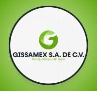 lolgo gissamex.jpg