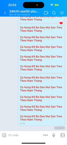 IMG 4968.png