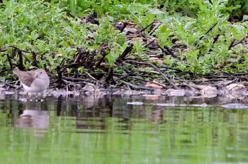 kddl1nTs95 TIrNw.jpg