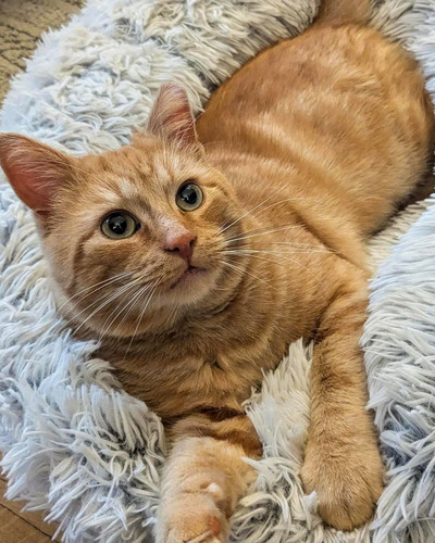 568700200 1371707854514952 6817381867080456885 n.jpg