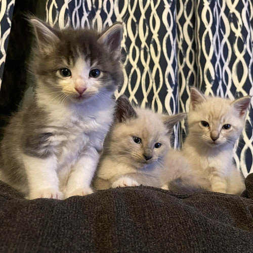 569125093 1371841771168227 5507015155425673133 n.jpg