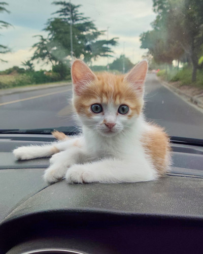 571058046 1371692544516483 1110537720252692481 n.jpg