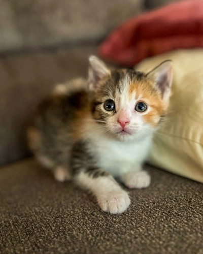 571330092 1371821871170217 5611479535008076291 n.jpg