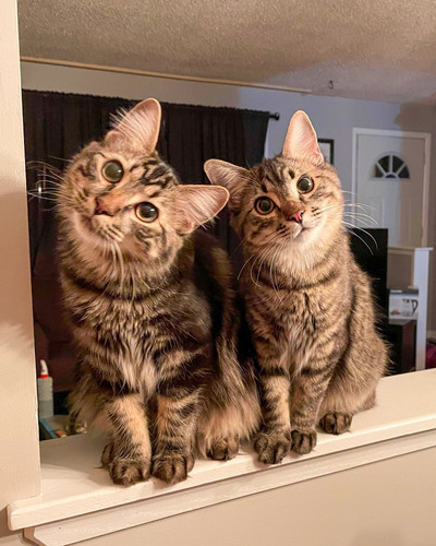 568669282 1371738774511860 991395574367015618 n.jpg