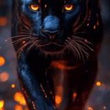 763b4a09 5736 4fbd afbd 53000a70958d (1).gif