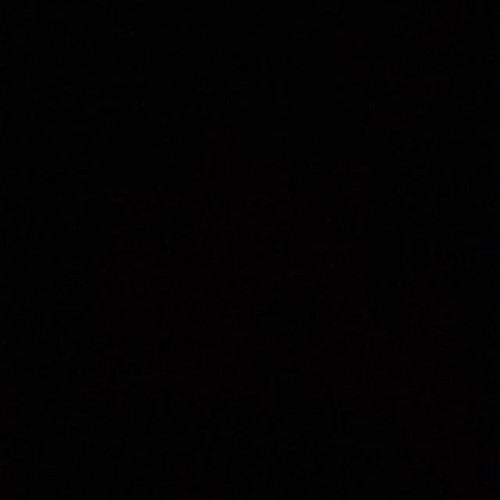 446593.jpg