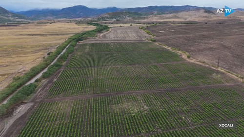 hEoPpmCS4egBDkK .jpg