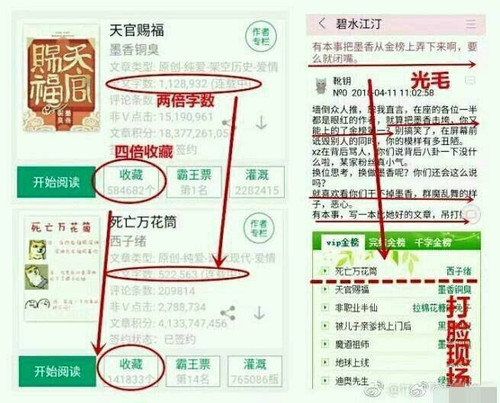 IMG 20251025 194004.jpg