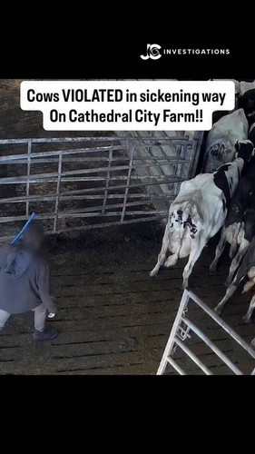 3yvrBMyL7zOAv kz.jpg