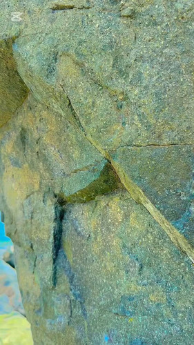 dxrQlhMxnEomxw J.jpg