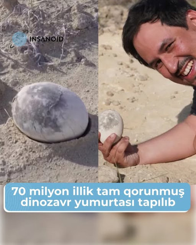 571119262 779214518438144 4818753068711169832 n.jpg?stp=dst jpg s640x640 tt6& nc cat=108&ccb=1 7& nc.jpg