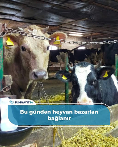 571247470 858147589901882 1667940571646272040 n.jpg?stp=dst jpg s640x640 tt6& nc cat=106&ccb=1 7& nc.jpg