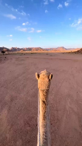 uTbkvJ6V iwotpU .jpg