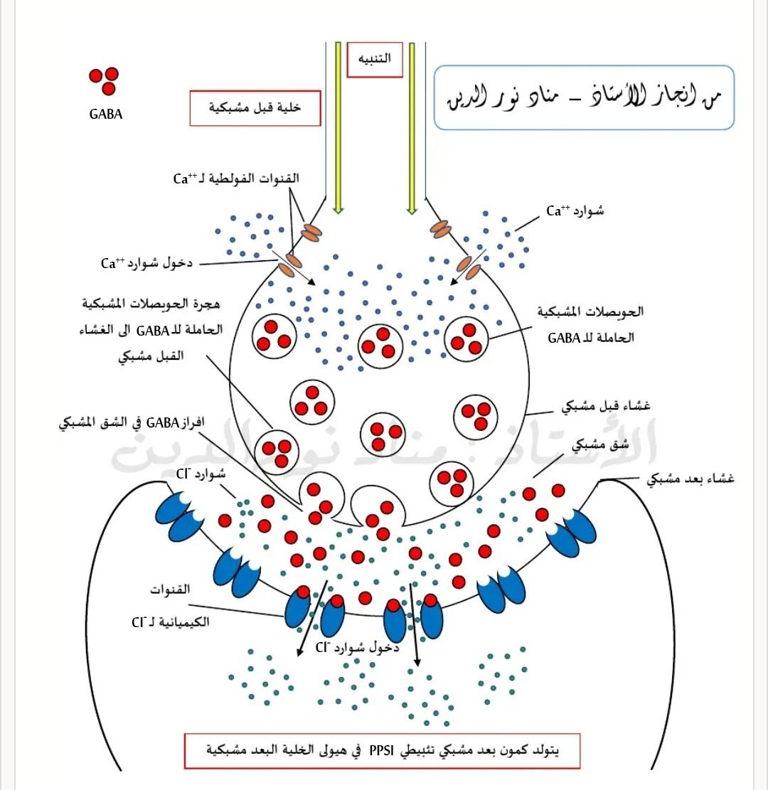 الوثيقة 2