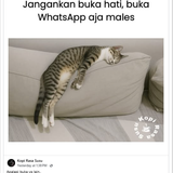 Screenshot 11.png