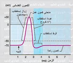 الوثيقة 2