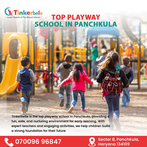 WhatsApp Image 2025 10 25 at 11.58.34 AM.jpg