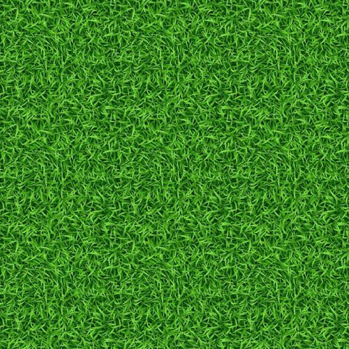 1000014085.jpg