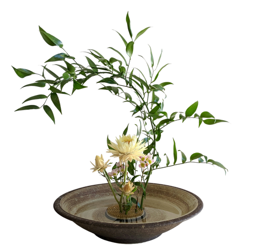 anna cicognani RRl4UPoC 8E unsplash.png