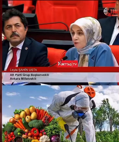 TWdPlI862jOF SyG.jpg