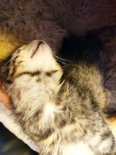 IMG 20251025 162806.jpg