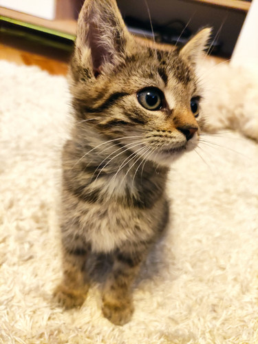 IMG 20251024 145226.jpg