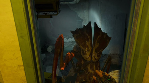 vOsu9qyKqJZFa HD.jpg