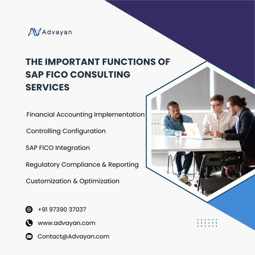 The Important Functions Of SAP FICO Consulting Services.jpg