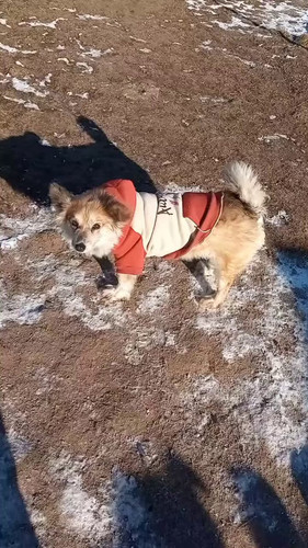 tZiJU5 XQGXP6Xjw.jpg