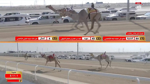 mhzdSGwqO5 mR AE.jpg