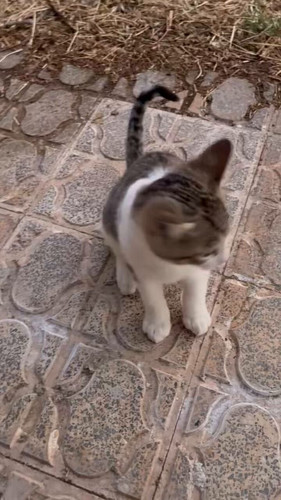 Wj3K196 6dRzqFv0.jpg