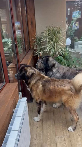 WnFPAQnr Gy 3P6p.jpg