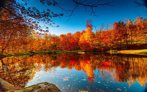 PLXDdo ccqNB hSYc0eUhaTaomxnAgplGaDBwp2yR66SmF nTrZ rufL4QyVYz0uwJjhd8zFw29kB YJIJ9S56JvUKE6bwdW8GrB.jpg